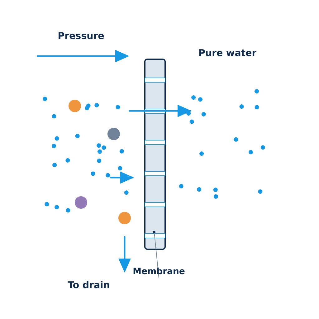 Close-up of an RO membrane: pressure pushes water molecules through while dissolved contaminants are rejected and rinsed to the drain. Illustration by Einwechter Plumbing & Heating, Kitchener-Waterloo